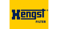 🇩🇪HENGST