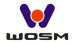 🇨🇳WOSIMAN