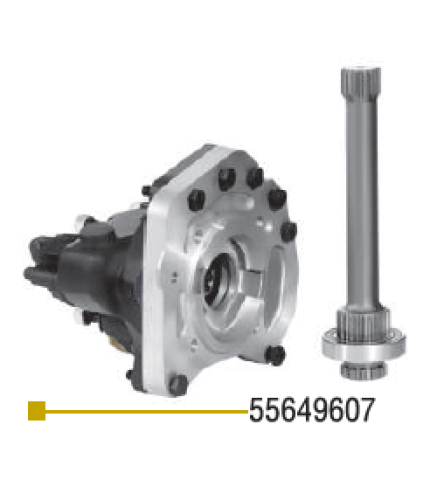 55649607