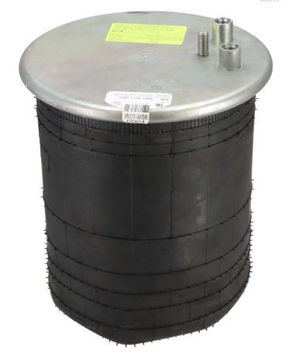 SP 554882-K