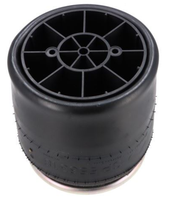 SP 556318-KP